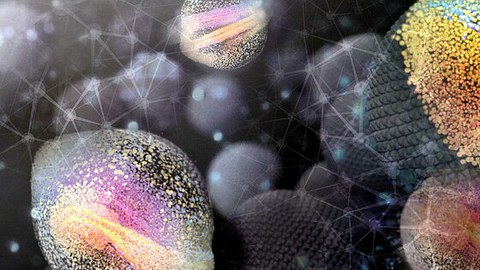 Cluster of Excellence PoL