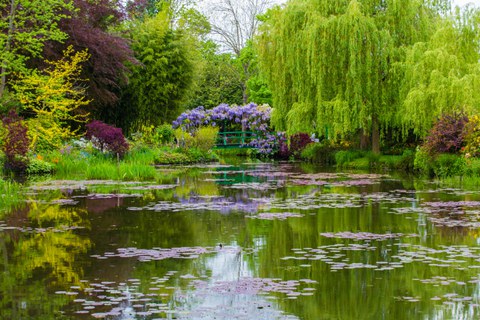 A pond with water lilies, lined with weeping willows and crossed by a small green bridge