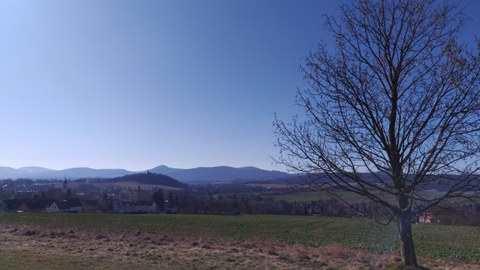 Foto. Frühling. Aussicht auf Feld mit Dorf in der Ferne. Am rechten Rand im Vordergrund ein Baum.