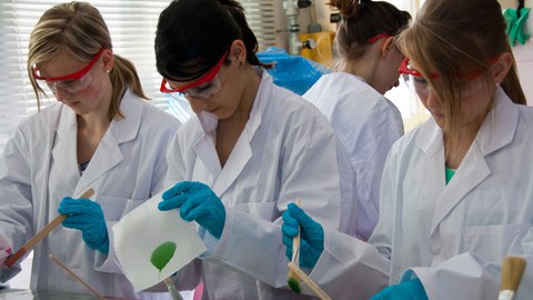 Mädchen mit Laborkitteln, Schutzbrille- und Handschuhen experimentieren mit Farbe, Pinseln und Papiertüchern.