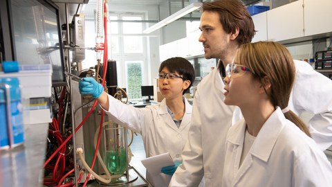 Photo of three people standing in front of a plant in the laboratory looking at something together