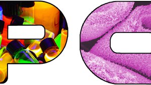 Logo Physikalische Chemie groß