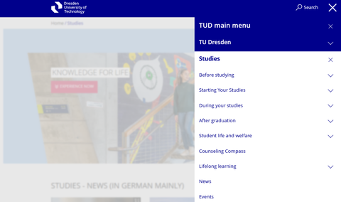 Screenshot of the navigation in the main menu item “Studies”