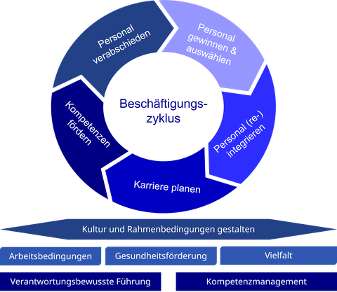 Die Grafik verdeutlicht die Phasen des Beschäftigungszyklus'.