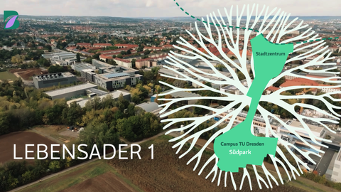 Screenshot from a video on Buga 2033