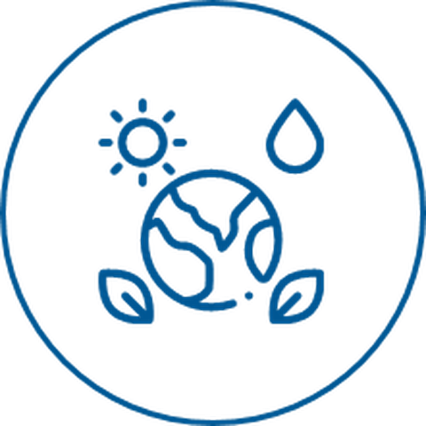 A drawing of the earth with a sun and leaves in a blue circle