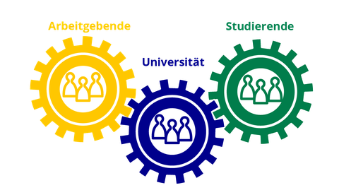 Verzahnung Universität Studierende Arbeitgeber, durch ineinandergreifende Zahnräder dargestellt