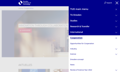 Screenshot of the navigation in the main menu item Cooperation