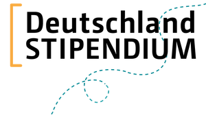 Logo Dstip mit Linie